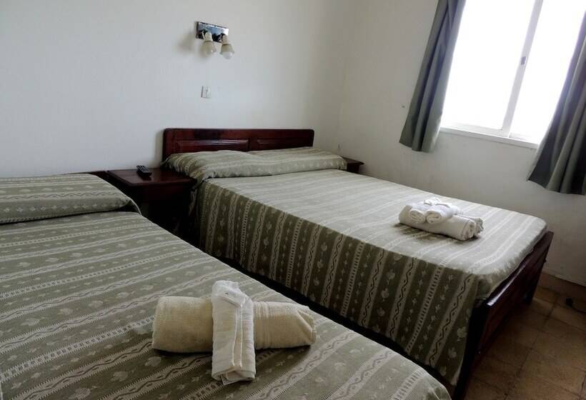 스탠다드 룸, Araucano