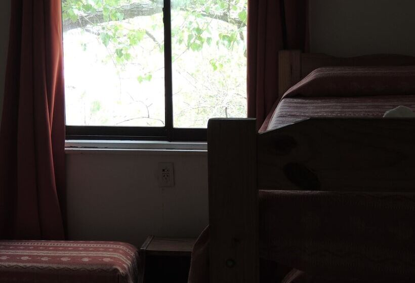 4인용 스탠다드 룸, Araucano