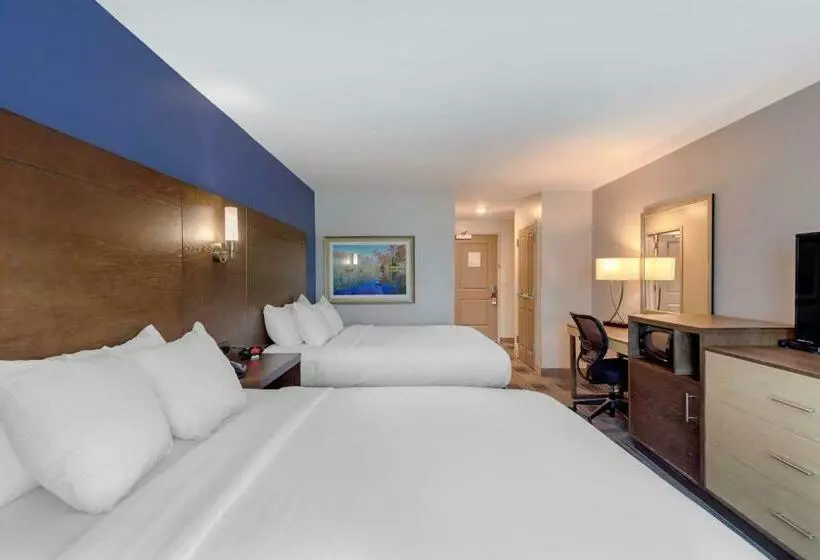 スタンダードルーム, Comfort Inn & Suites East Ellijay