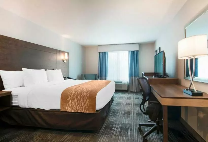キングサイズベッドのスタンダードルーム, Comfort Inn & Suites East Ellijay