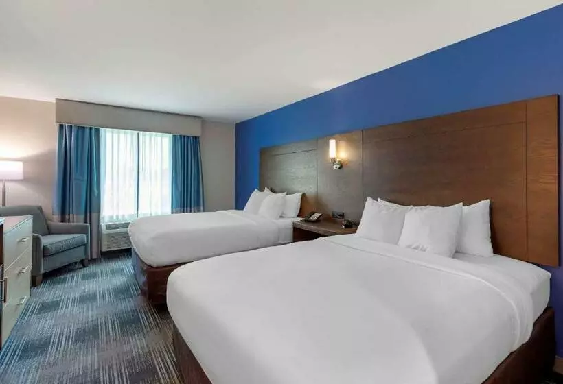 スタンダードルーム, Comfort Inn & Suites East Ellijay