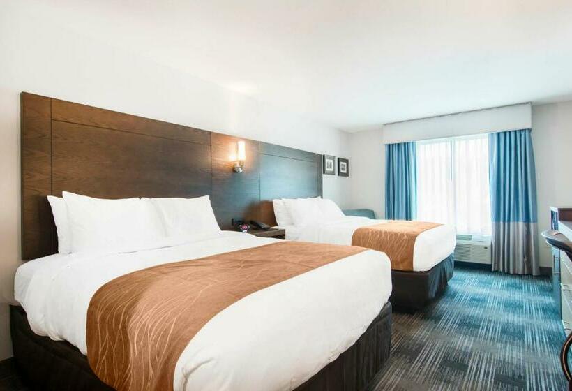 Номер Стандарт, Comfort Inn & Suites East Ellijay