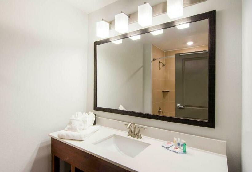 Номер Стандарт, Comfort Inn & Suites East Ellijay