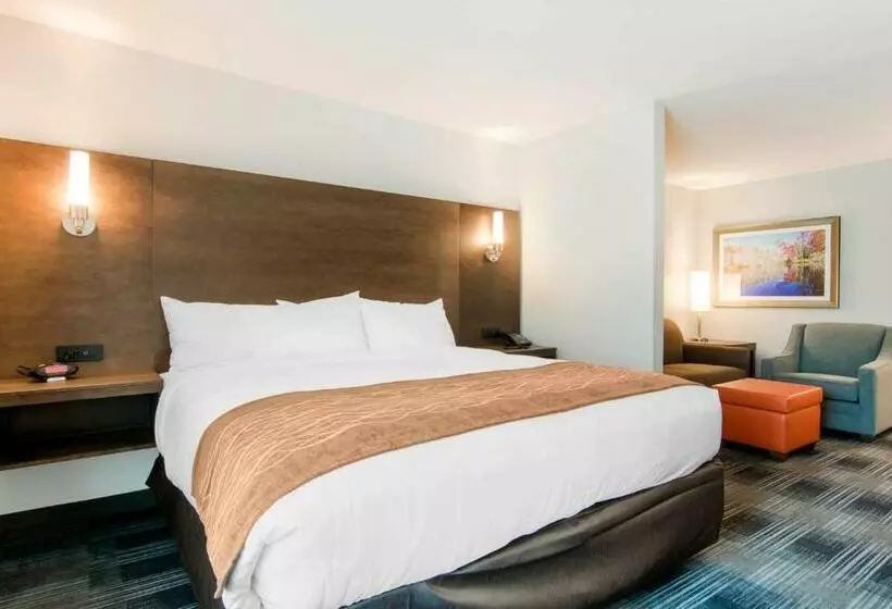 身障者適用スイートルーム, Comfort Inn & Suites East Ellijay