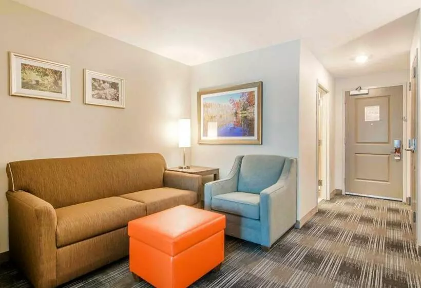 身障者適用スイートルーム, Comfort Inn & Suites East Ellijay