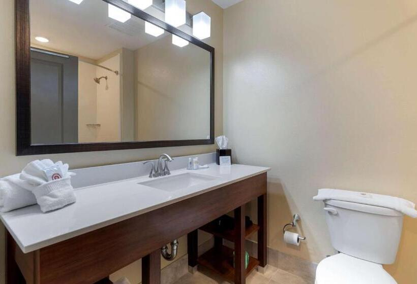 Люкс Адаптированный для Инвалидов, Comfort Inn & Suites East Ellijay