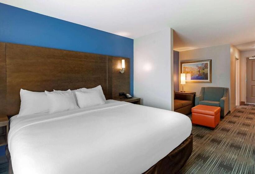Люкс Адаптированный для Инвалидов, Comfort Inn & Suites East Ellijay