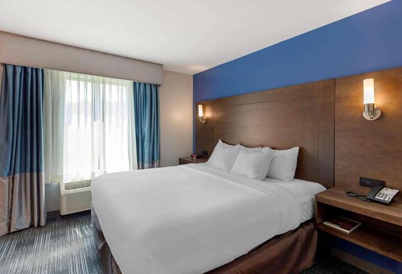 Люкс Адаптированный для Инвалидов, Comfort Inn & Suites East Ellijay