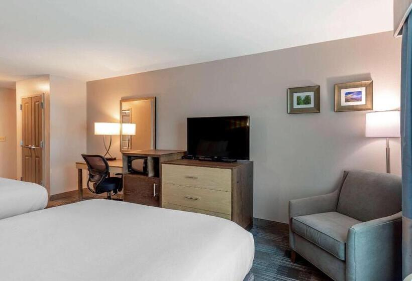 Номер Стандарт Адаптированный для Инвалидов, Comfort Inn & Suites East Ellijay