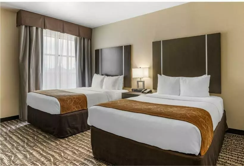 スイート, Comfort Suites Near Sam Houston Race Park