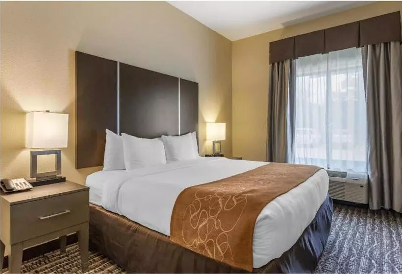 身障者適用スイートルーム, Comfort Suites Near Sam Houston Race Park