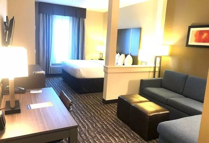 スイート, Comfort Suites Near Sam Houston Race Park