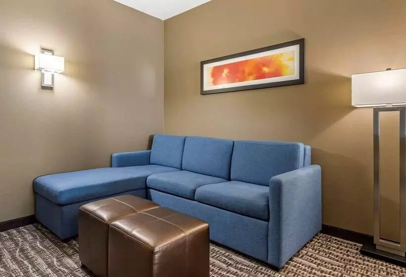 身障者適用スイートルーム, Comfort Suites Near Sam Houston Race Park