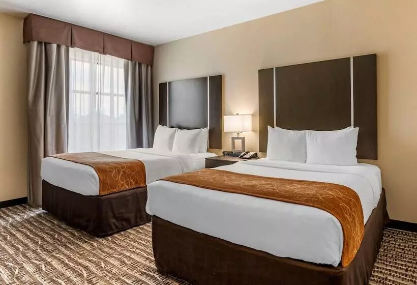 デラックススイート, Comfort Suites Near Sam Houston Race Park