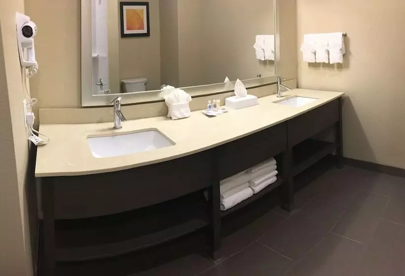 デラックススイート, Comfort Suites Near Sam Houston Race Park