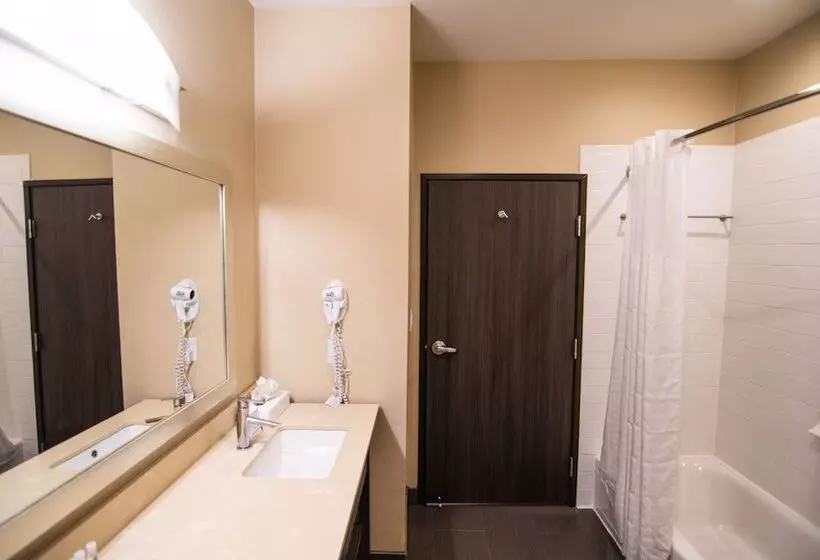 デラックススイート, Comfort Suites Near Sam Houston Race Park