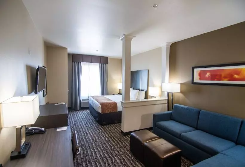 身障者適用スイートルーム, Comfort Suites Near Sam Houston Race Park