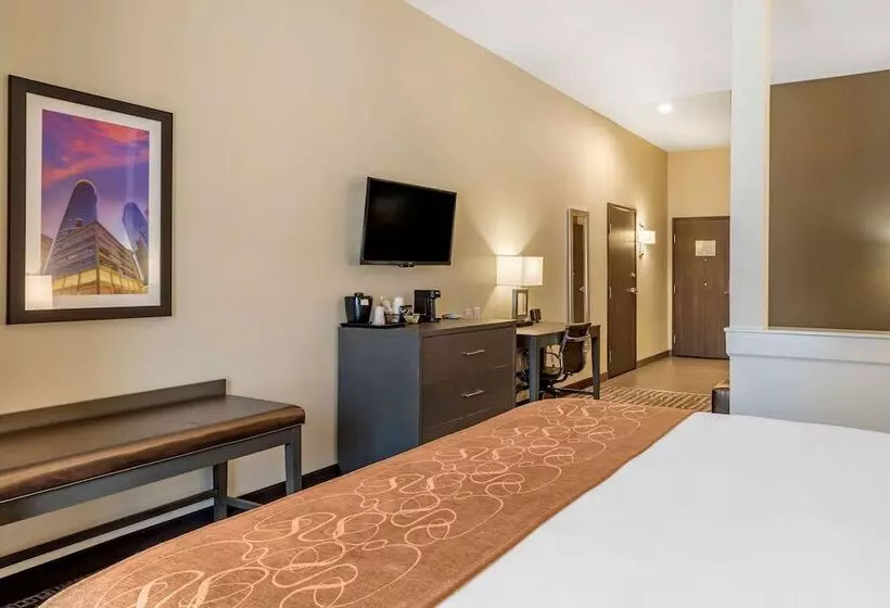 身障者適用スイートルーム, Comfort Suites Near Sam Houston Race Park