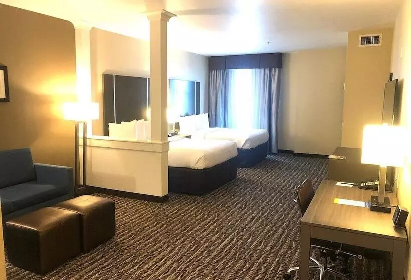 スイート, Comfort Suites Near Sam Houston Race Park