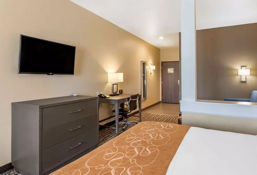 スイート, Comfort Suites Near Sam Houston Race Park