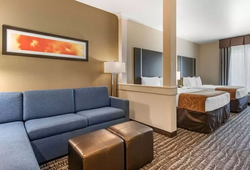 スイート, Comfort Suites Near Sam Houston Race Park