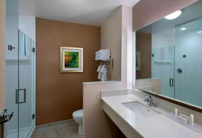 身障者適用スイートルーム, Fairfield Inn & Suites By Marriott Syracuse Carrier Circle