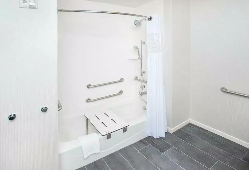 اتاق استاندارد برای معلولان, Hampton Inn & Suites Lax El Segundo