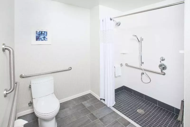 اتاق استاندارد با تخت بزرگ, Hampton Inn & Suites Lax El Segundo