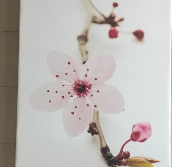 اتاق عادی, Hôtel Familial L Ostréi