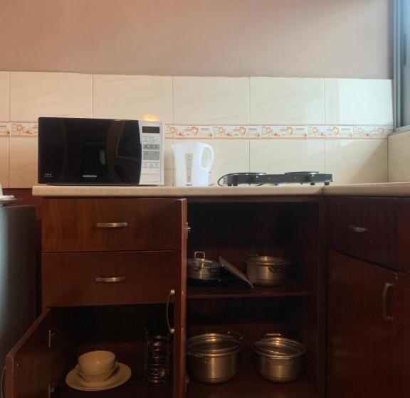 Apartament Premium 1 Dormitori, Manjaro Suites