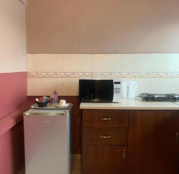 Apartament Premium 1 Dormitori, Manjaro Suites