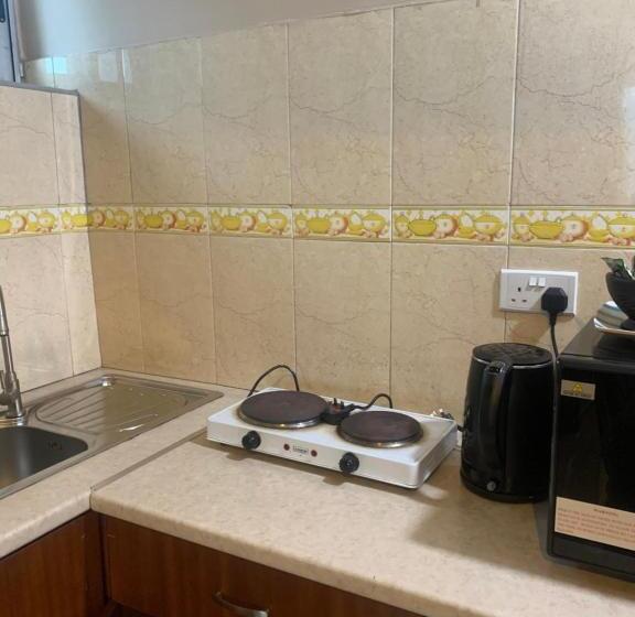 Apartament 1 Dormitori, Manjaro Suites