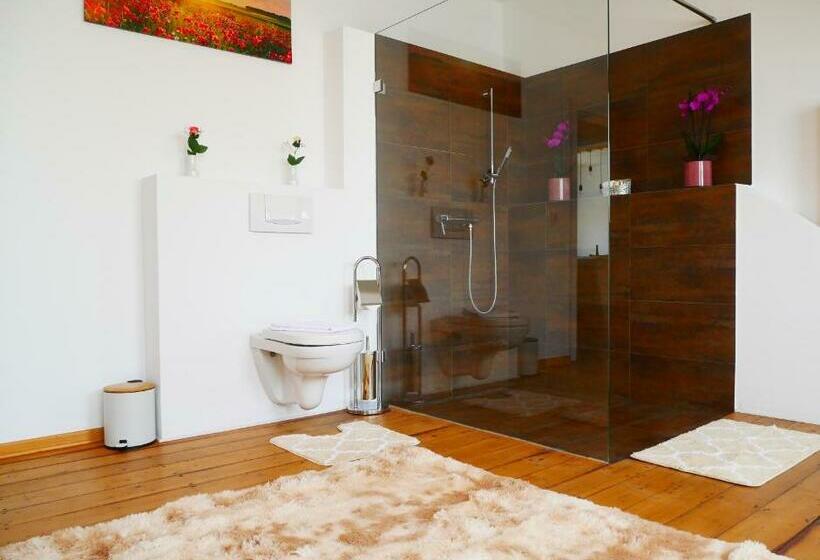 דירת חדר, Pension Helma