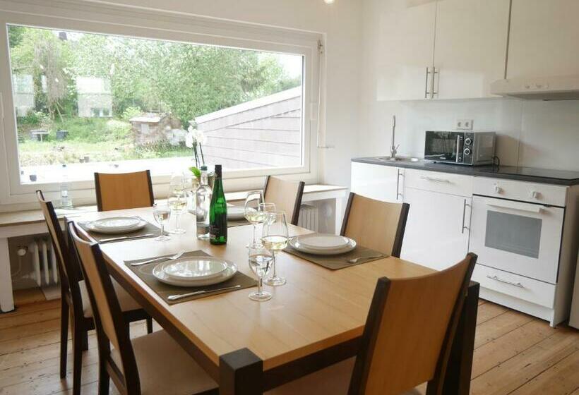 דירת חדר, Pension Helma