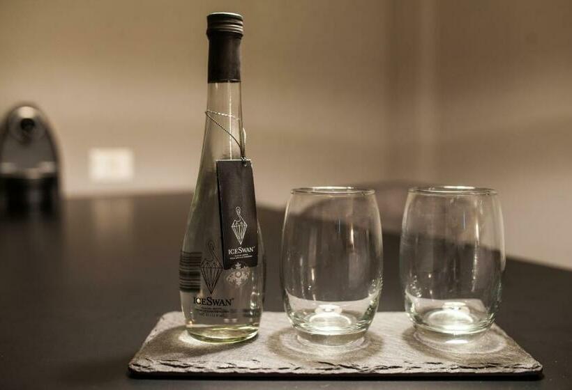 חדר סופריור עם מיטת קינג, Solace Hotel Santiago