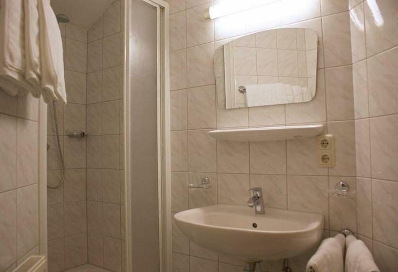 Апартаменты 1 Спальня, Sportapart Garni Mallaun