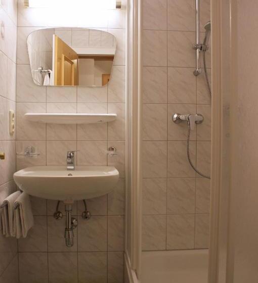 Апартаменты 1 Спальня, Sportapart Garni Mallaun