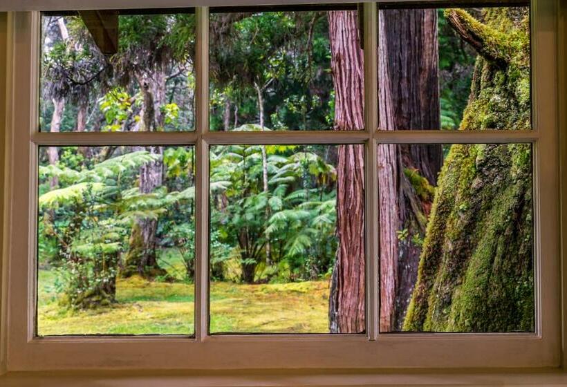 בית, חדר שינה 1, Volcano Village Estates