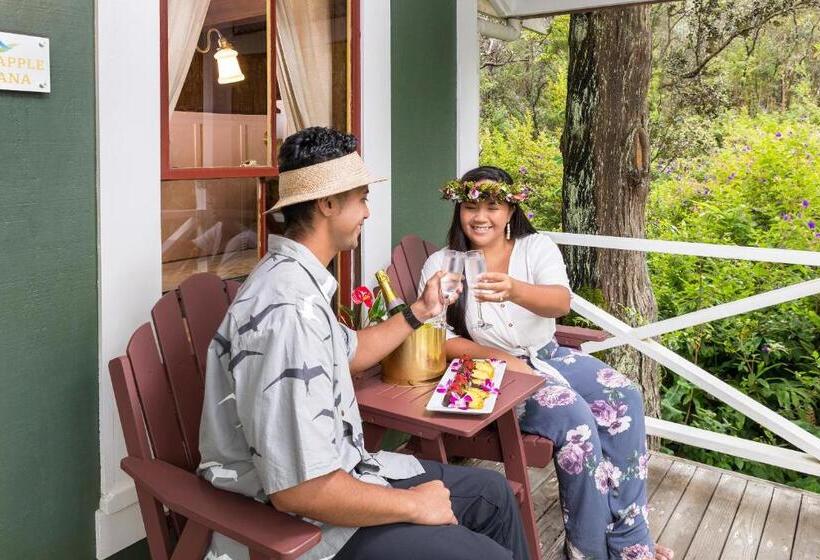 בית, חדר שינה 1, Volcano Village Estates