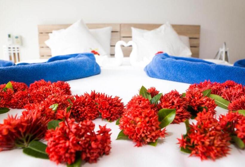 غرفة كومفورت, The Reef Resort