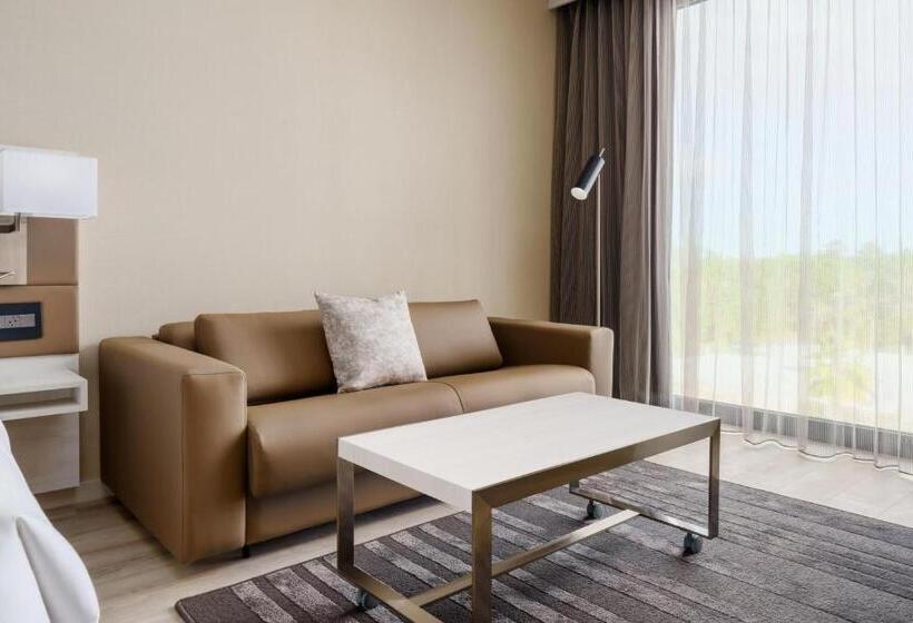 장애인을 위한 킹사이즈 침대 스탠다드 룸, Ac Hotel By Marriott Jacksonville St Johns Town Center