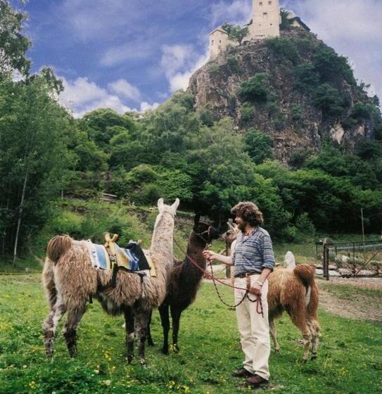 חדר סטנדרט עם טרסה, Pension Linserhof