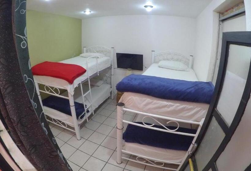 اتاق عادی, Kahlo Habitacion#1