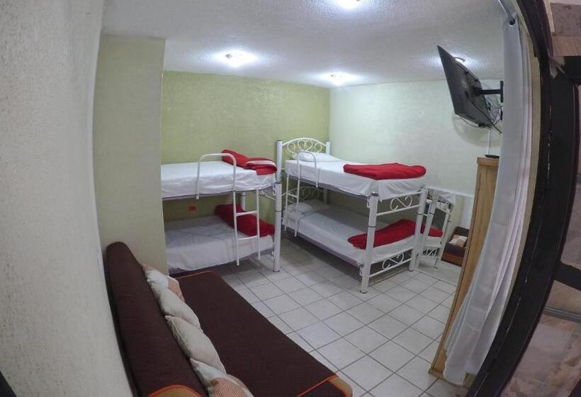 اتاق سوپریور, Kahlo Habitacion#1