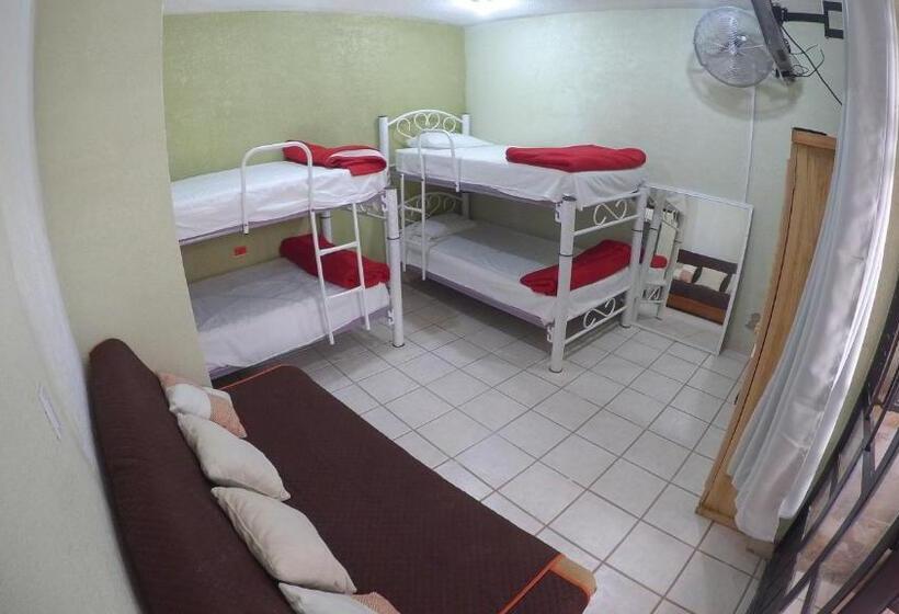 اتاق سوپریور, Kahlo Habitacion#1