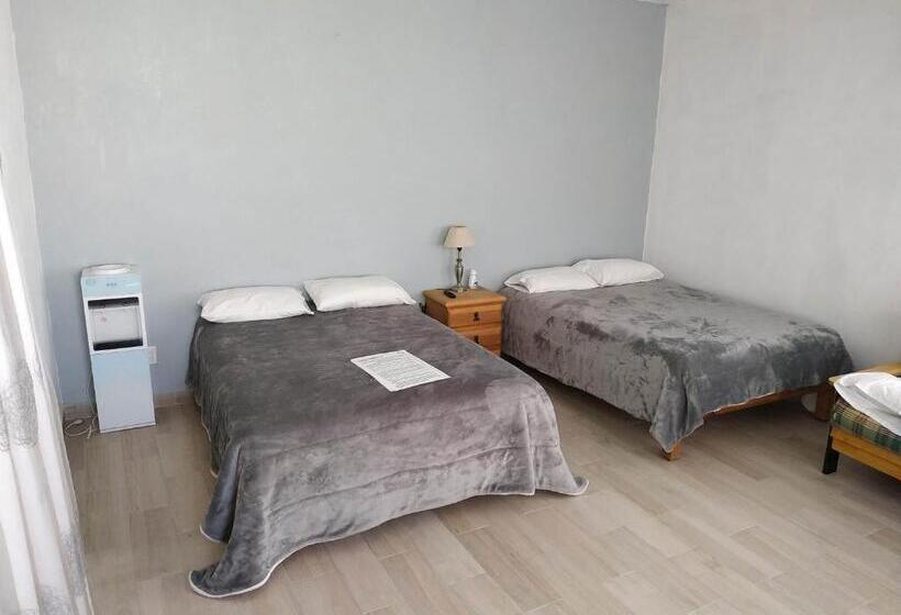 اتاق لوکس چهار تخته, Kahlo Habitacion#1