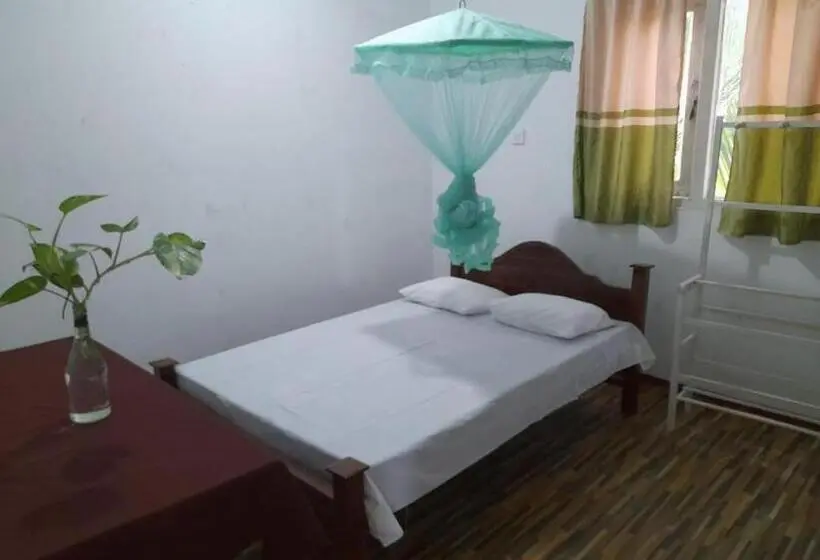 اتاق اکونومی, Green Villa