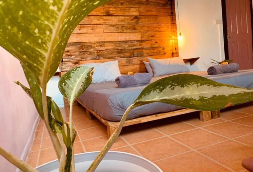 Superior Kamer met Kingsize Bed, Bon Vivant Front De Mer Ile Rodrigues