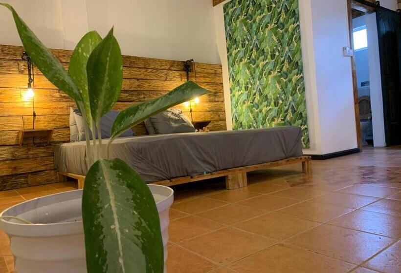 Familiekamer, Bon Vivant Front De Mer Ile Rodrigues