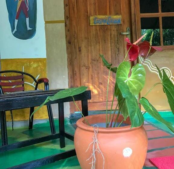 חדר סטנדרט, A Place Of True Colors